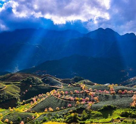 Sapa Dao Homestay Dış mekan fotoğraf