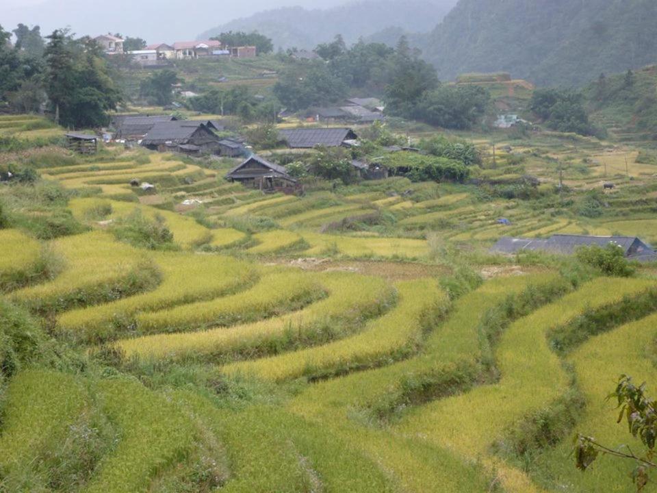 Sapa Dao Homestay Dış mekan fotoğraf