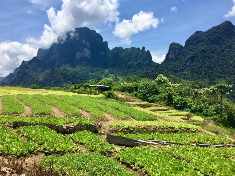 Sapa Dao Homestay Dış mekan fotoğraf