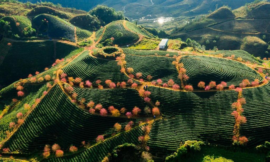 Sapa Dao Homestay Dış mekan fotoğraf