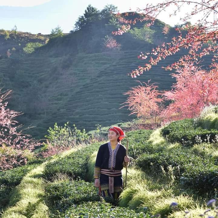Sapa Dao Homestay Dış mekan fotoğraf