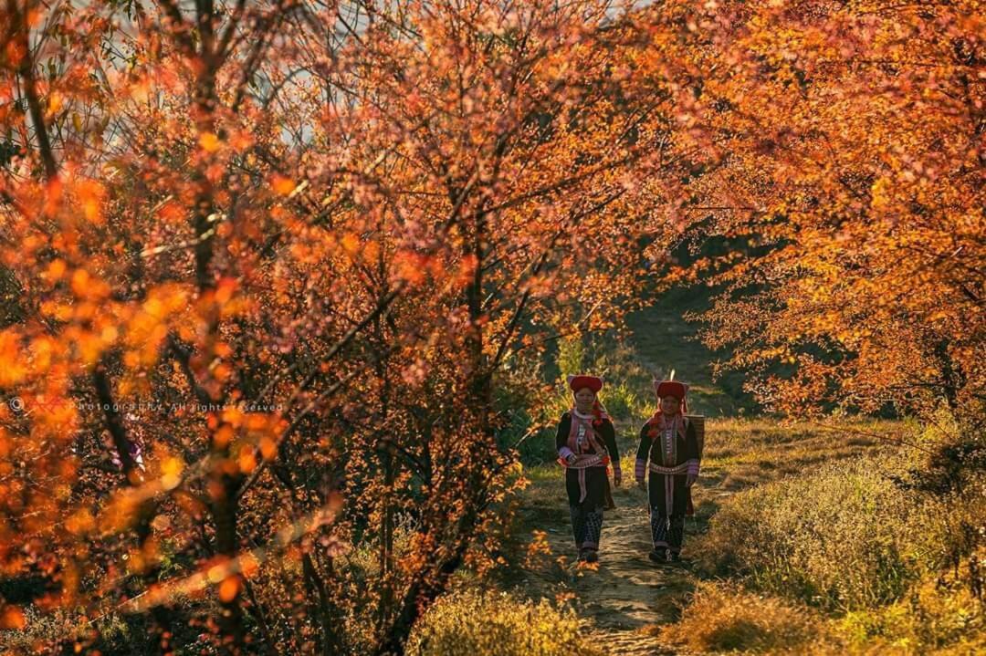 Sapa Dao Homestay Dış mekan fotoğraf