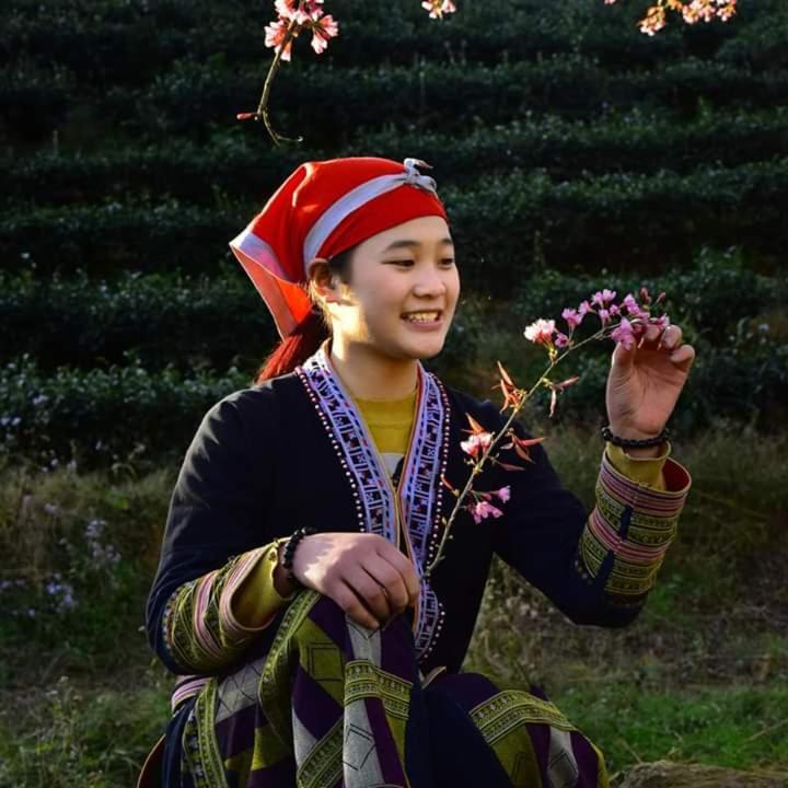Sapa Dao Homestay Dış mekan fotoğraf