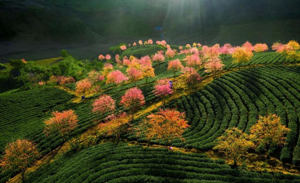 Sapa Dao Homestay Dış mekan fotoğraf