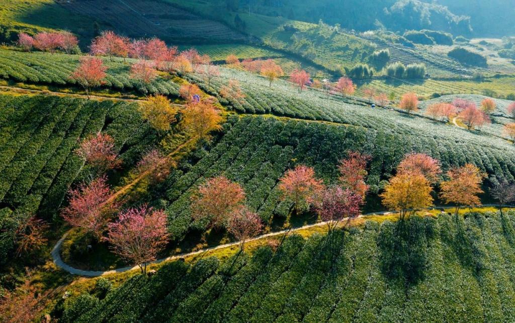 Sapa Dao Homestay Dış mekan fotoğraf