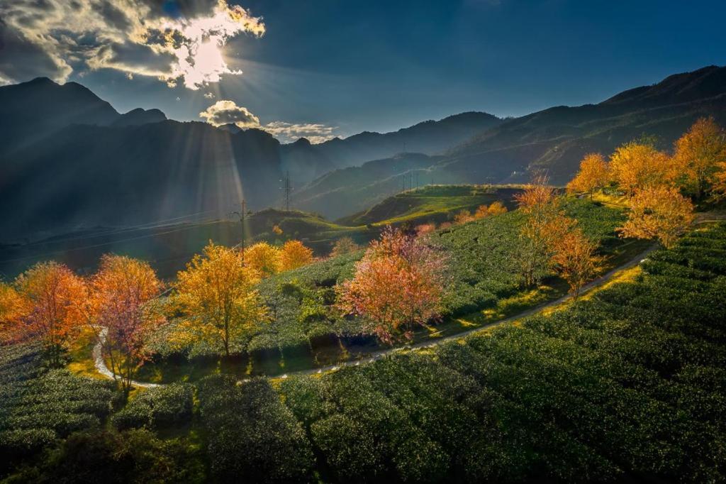Sapa Dao Homestay Dış mekan fotoğraf